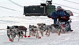 Yukon Quest - Copyright Yukon Quest International