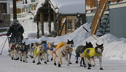 Yukon Quest - Copyright Carsten Thies