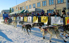 YQ-Start (c) Sui Kings