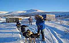 Mile 101 (c) Sui Kings