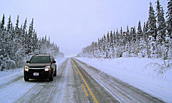 Sui Kings (c) Yukon Quest