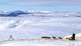 Eagle Summit (c) Yukon Quest