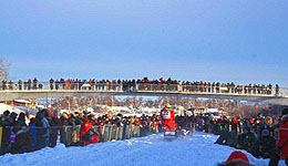 Start des Yukon Quest 2012 in Fairbanks, Alaska (c) Sui Kings