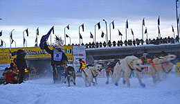 Start des Yukon Quest 2012 in Fairbanks, Alaska (c) Sui Kings
