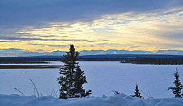 Yukon Quest 2012 (c) Sui Kings