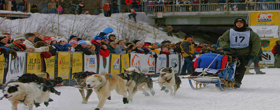 Yukon Quest - Copyright Yukon Quest International