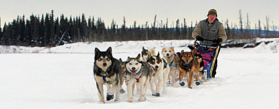 Yukon Quest - Copyright Yukon Quest International