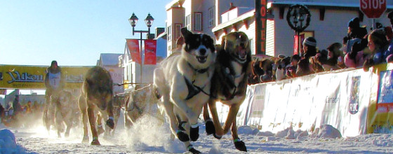 YukonQuest Start 2012