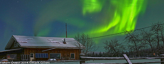 Yukon Quest (c) Copyright Mark Gillet
