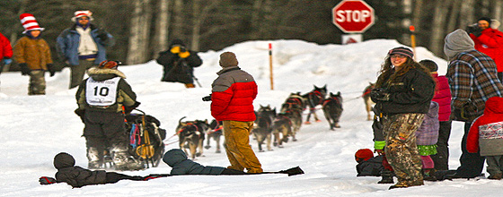 Yukon Quest (c) Copyright Mark Gillet