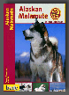 Alaskan Malamute