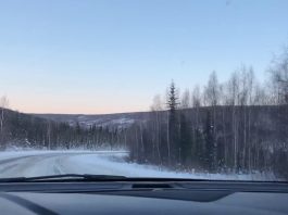 Quest Nachrichten 2003