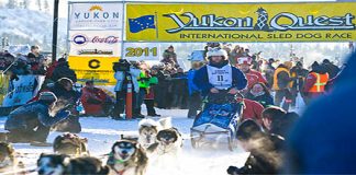 Yukon Quest Alaska gestartet Yukon Quest (c) Yukon Quest