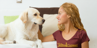 15% Rabatt auf ALLES im Yukon Quest Shop Yukon Quest Shop (c) rnr-projects