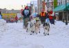 87.000 Dollar Preisgeld für drei Yukon Quest (Kanada) Rennen Yukon Quest Whitehorse (c) Yukon Quest