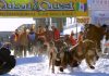Wieder drei Yukon Quest Rennen in Alaska 2024 Yukon Quest (c) Yukon Quest