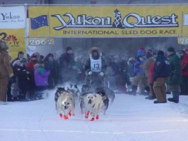 Yukon Quest 2003: Ein Blick auf die Musher Yukon Quest 2002 (c) YQ