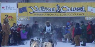 Yukon Quest 2003: Ein Blick auf die Musher Yukon Quest 2002 (c) YQ