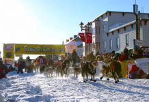 Philips führt das Yukon Quest Yukon Rennen an Yukon Quest (c) Carsten Thies / Yukon Quest