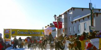 Start des Yukon Quest (Yukon) 2024 Yukon Quest (c) Carsten Thies / Yukon Quest