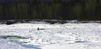 Eisige Konditionen und zwei Musher fehlten Yukon Quest (c) Yukon Quest