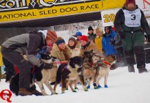 Start der Yukon Quest Alaska Rennen 2025 Yukon Quest Start (c) Yukon Quest
