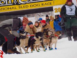 Start der Yukon Quest Alaska Rennen 2025 Yukon Quest Start (c) Yukon Quest