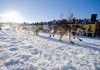 Start bei eisigen Temperaturen Yukonquest (c) Yukon Quest