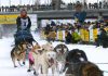 Yukon Quest Alaska 2025: 550 Meilen Rennen nach Tok Yukon Quest (c) Carsten Thies