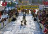 Yukon Quest (Yukon) 2025 mit völlig neuem Trail Yukon Quest (c) Yukon Quest / Carsten Thies