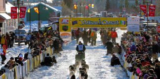 Yukon Quest (Yukon) 2025 mit völlig neuem Trail Yukon Quest (c) Yukon Quest / Carsten Thies