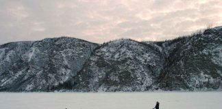 Zustand der Strecke des Yukon Quest Alaska 2025 Trail Yukon Quest (c) Carsten Thies