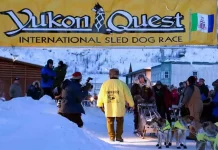 Yukon Quest 2025: Regeln, Checkpoints, Termine Yukon Quest (Yukon) (c) Yukon Quest