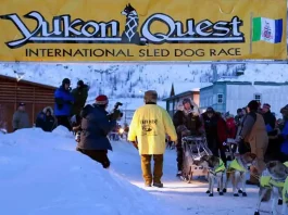 Yukon Quest 2025: Regeln, Checkpoints, Termine Yukon Quest (Yukon) (c) Yukon Quest