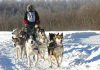 Yukon Quest Yukon 2025 auch mit neuen Regeln Yukon Quest (c) Yukon Quest