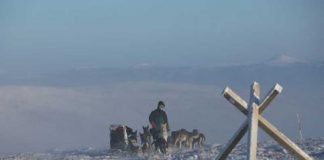 200 Meilen Wettbewerb beendet – Deeter weiterhin in Führung beim YQA550 Eagle Summit (c) Yukon Quest / Carsten Thies
